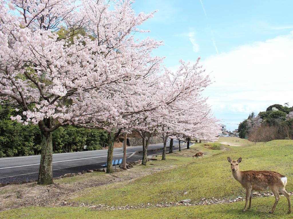 Miyajima Seaside Hotel Itsukushima Dış mekan fotoğraf