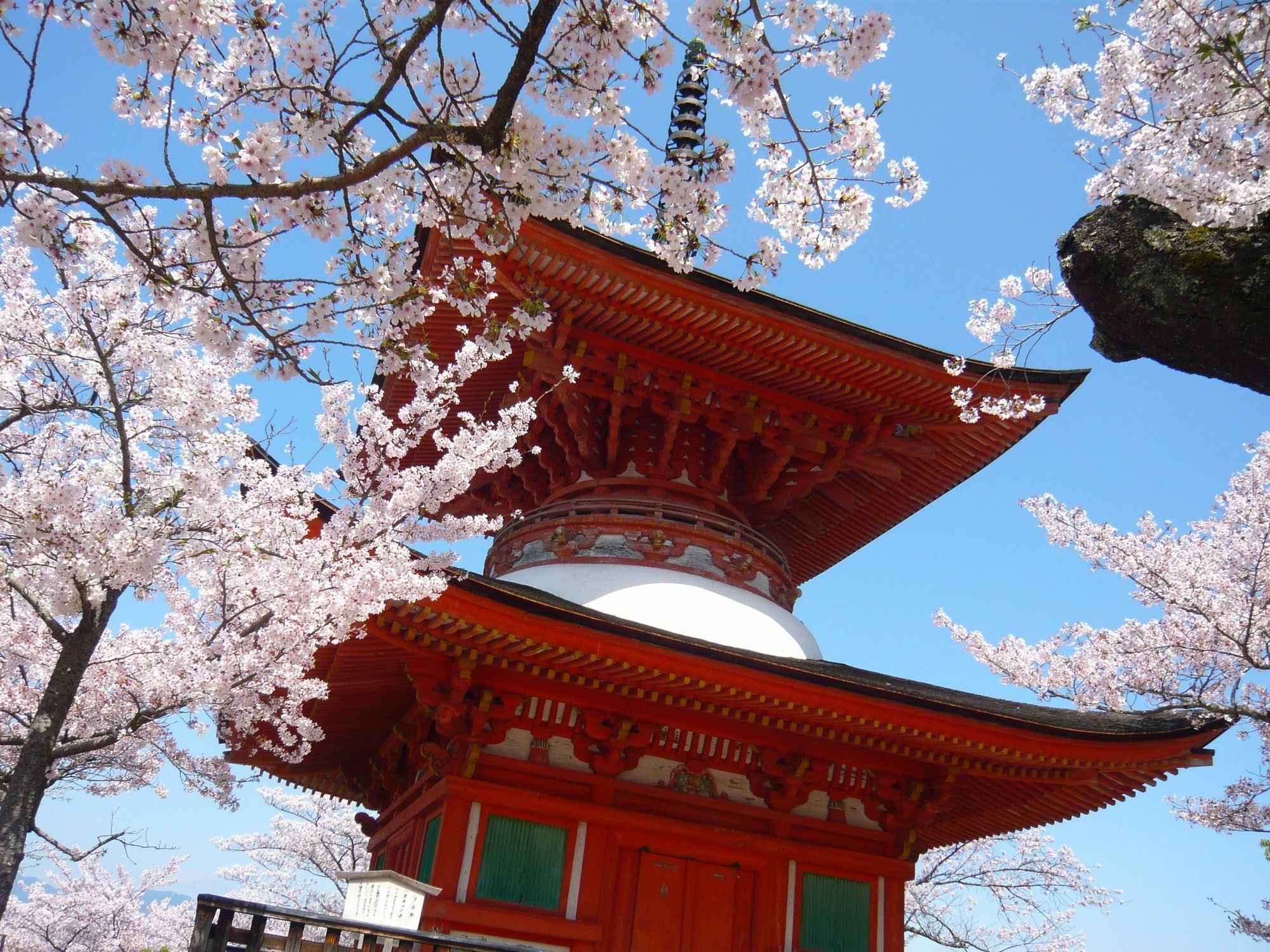 Miyajima Seaside Hotel Itsukushima Dış mekan fotoğraf