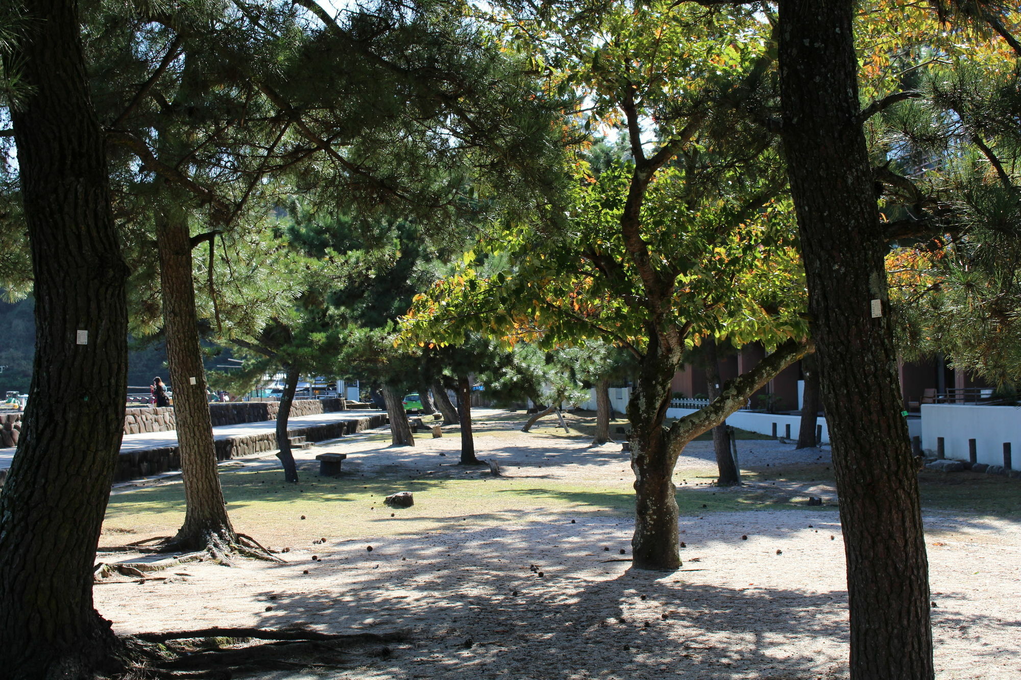 Miyajima Seaside Hotel Itsukushima Dış mekan fotoğraf